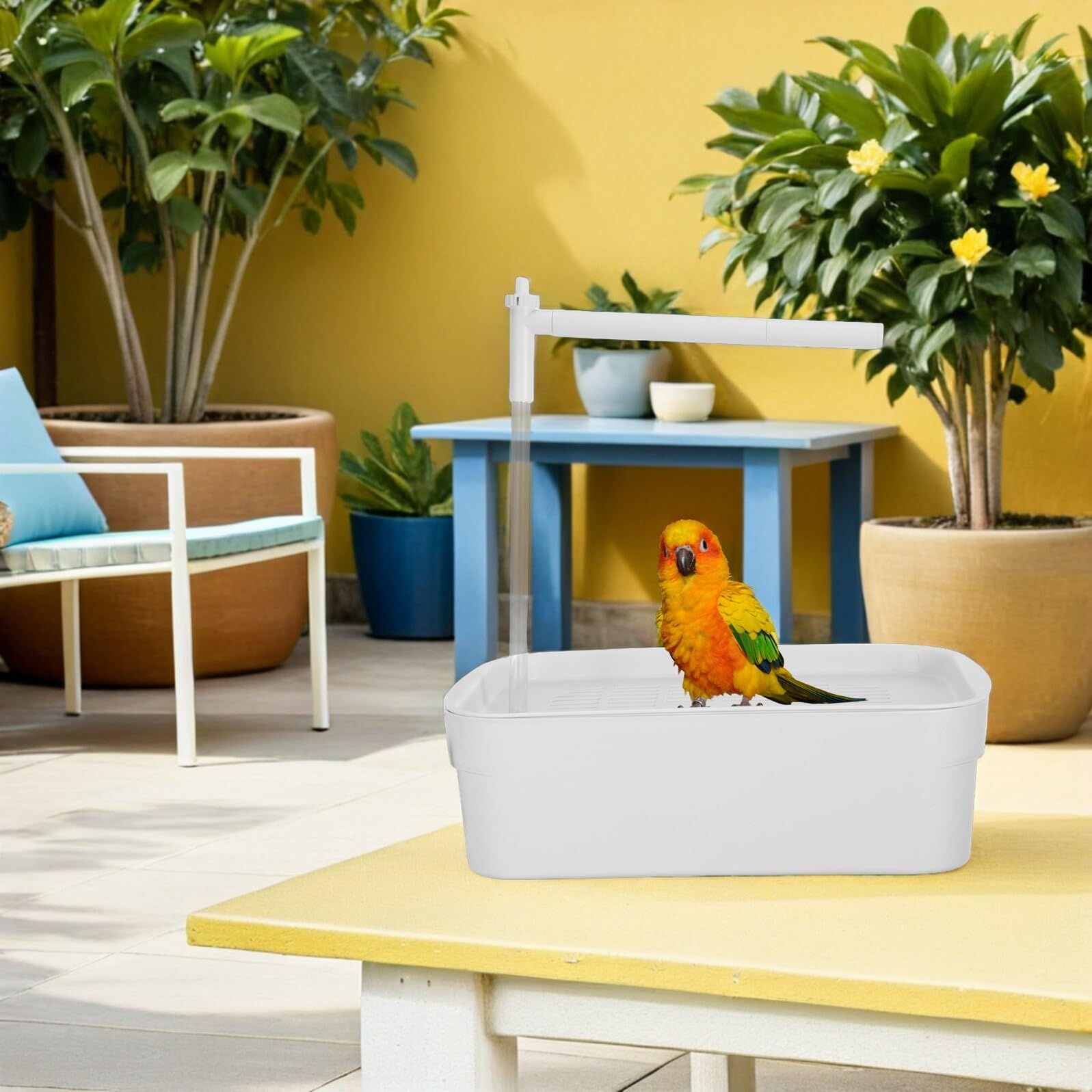 Automatische Vogeldusche mit Fließendem Wasser Papageienbadewanne 31,2x20,8x9,7cm Leise rutschfest Abwaschbar für Wellensittiche und Kleine Papageien im Käfig
