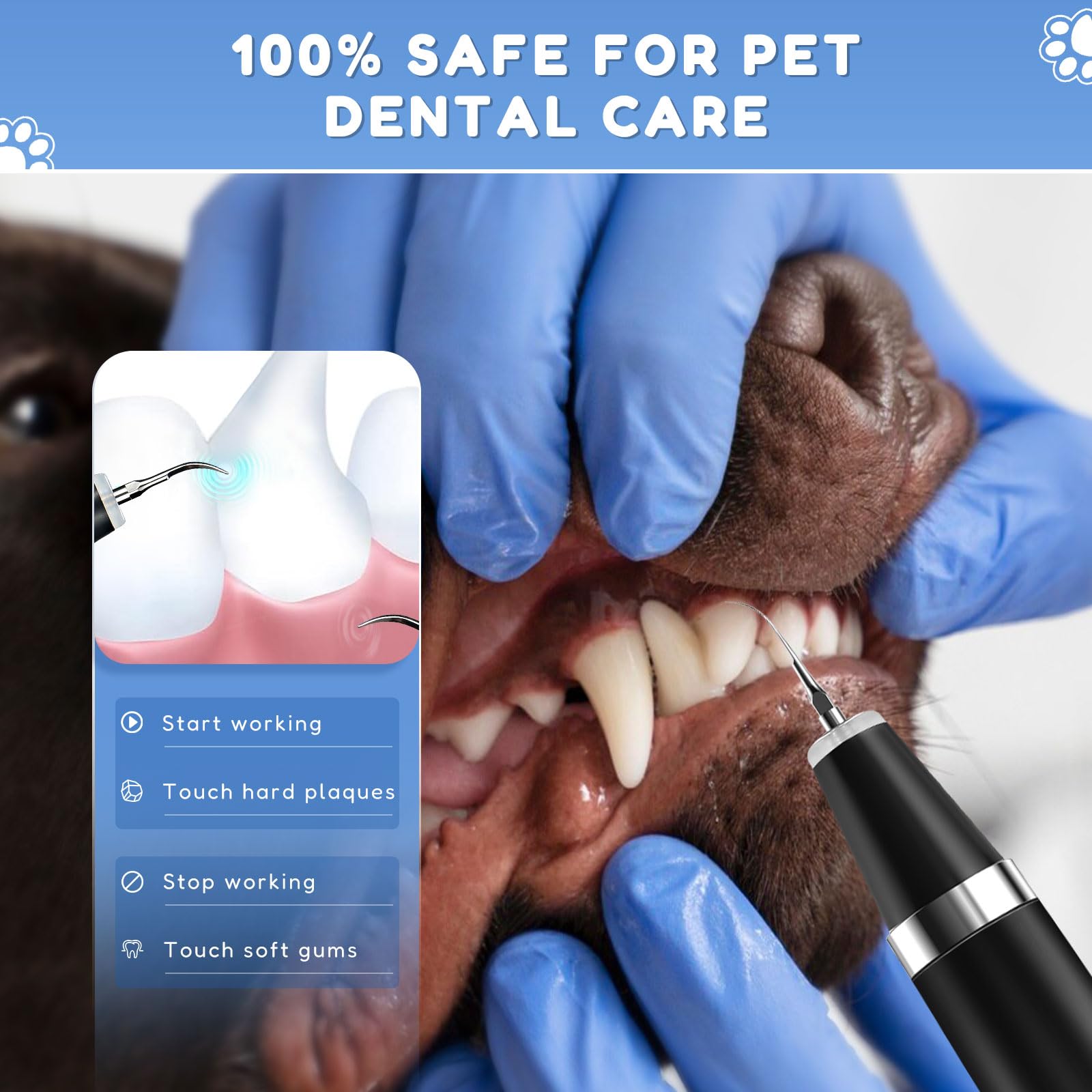 Kit de Limpieza de Dientes de Perro, Cepillo de Dientes Eléctrico Ultrasónico Para Mascotas, Cepillo de Dientes Para Cuidado Dental Para Perro y Gatos