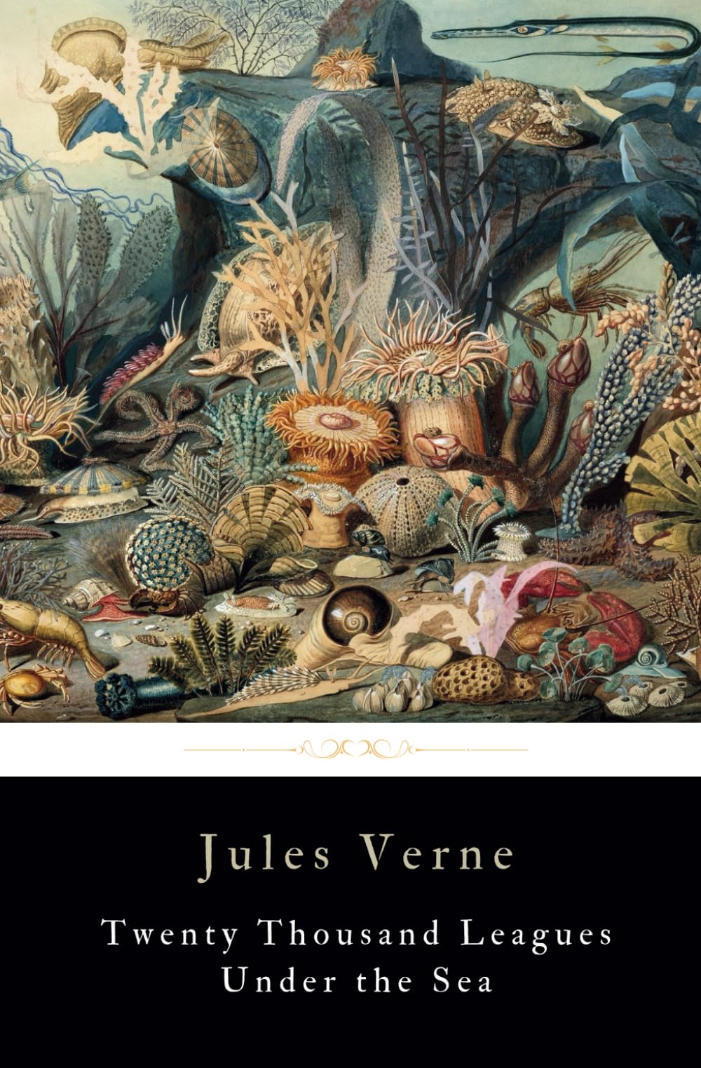Twenty Thousand Leagues Under the Sea