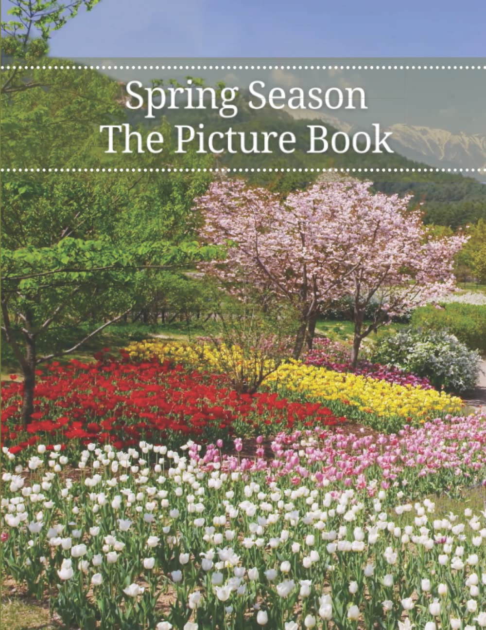 Spring Season: The Picture Book of Spring Season for Seniors, Dementia Adults with Alzheimer's, and Patients to Help Memory Loss.