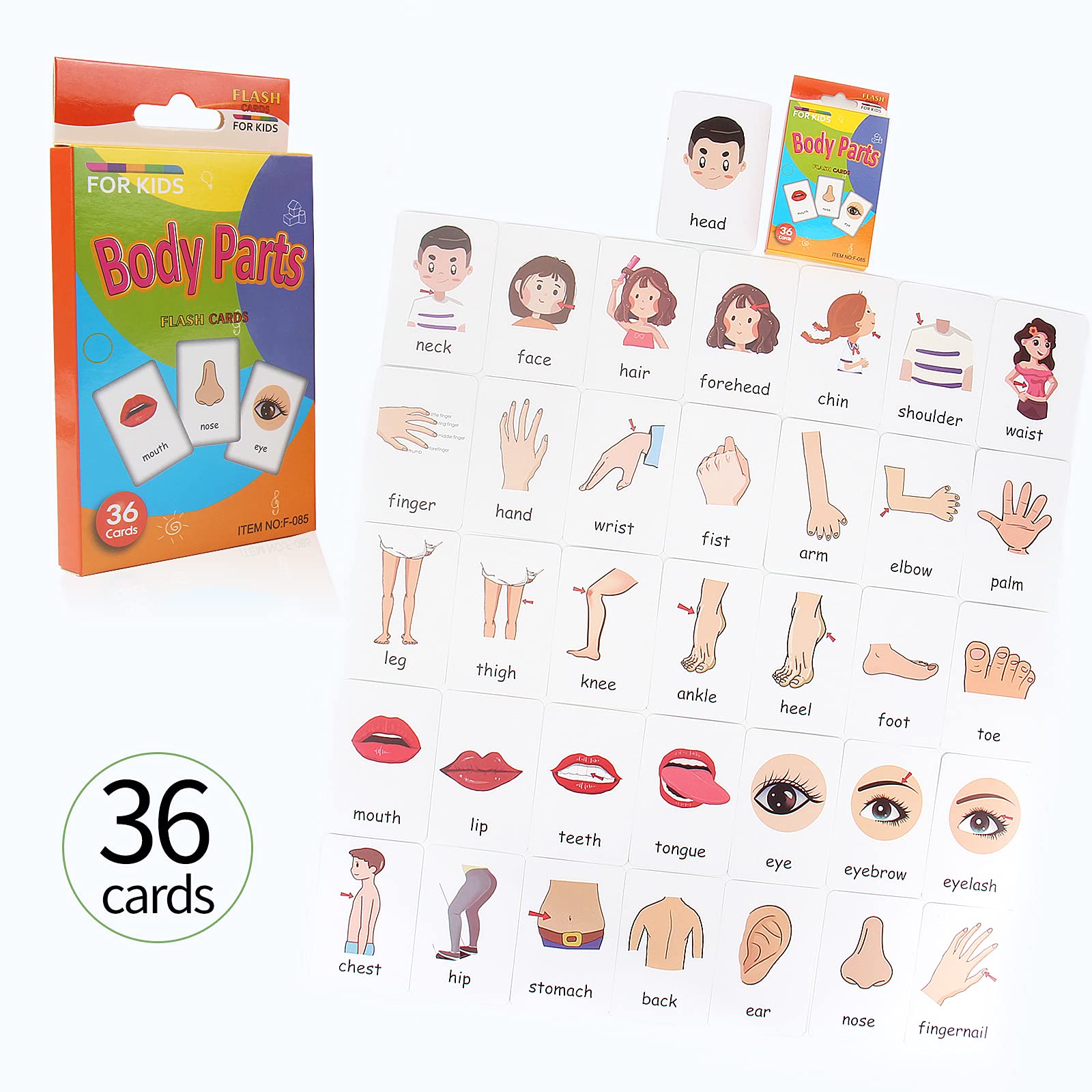 Buy leyun Multi Flash Cards SetBrighter Child Flash CardsEarly