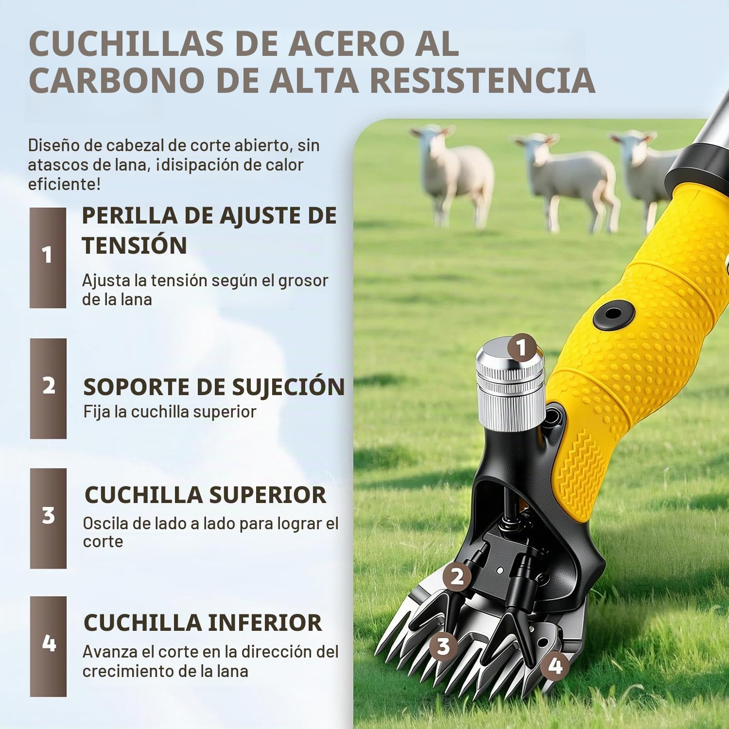 CGOLDENWALL Esquiladora Oveja Profesional 850W, 6 Velocidades, Cabras | Anti-Sobrecalentamiento, Cuchillas Acero Carbono, Ovejas Cabras Alpacas, Pelo Grueso, Kit