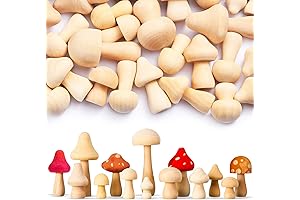 40 Piece Unfinished Wood Mushroom Set for DIY Projects