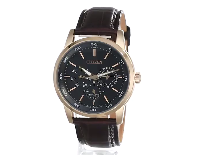 Citizen Men's Eco-Drive Corso Classic Watch in Gold-tone Stainless Steel with Brown Leather strap, Black Dial, 44mm (Model: BU2013-08E) : Clothing, Shoes & Jewelry