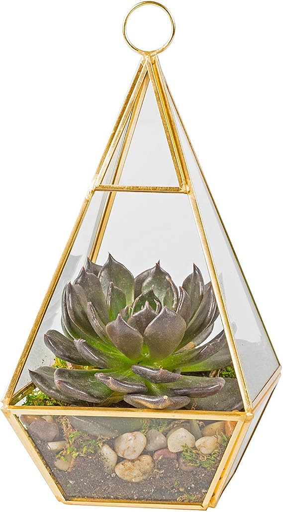 D'Eco Glass Gold Pyramid Centerpiece (5x5x10) - Hanging Planter Terrarium - Spring Home & Wedding Decor - Fill with Succulents, Cacti, Air Plants, Moss, Flowers for Plant Lovers