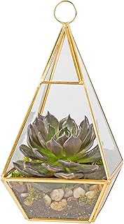 D'Eco Glass Gold Pyramid Centerpiece (5x5x10) - Hanging Planter Terrariu...