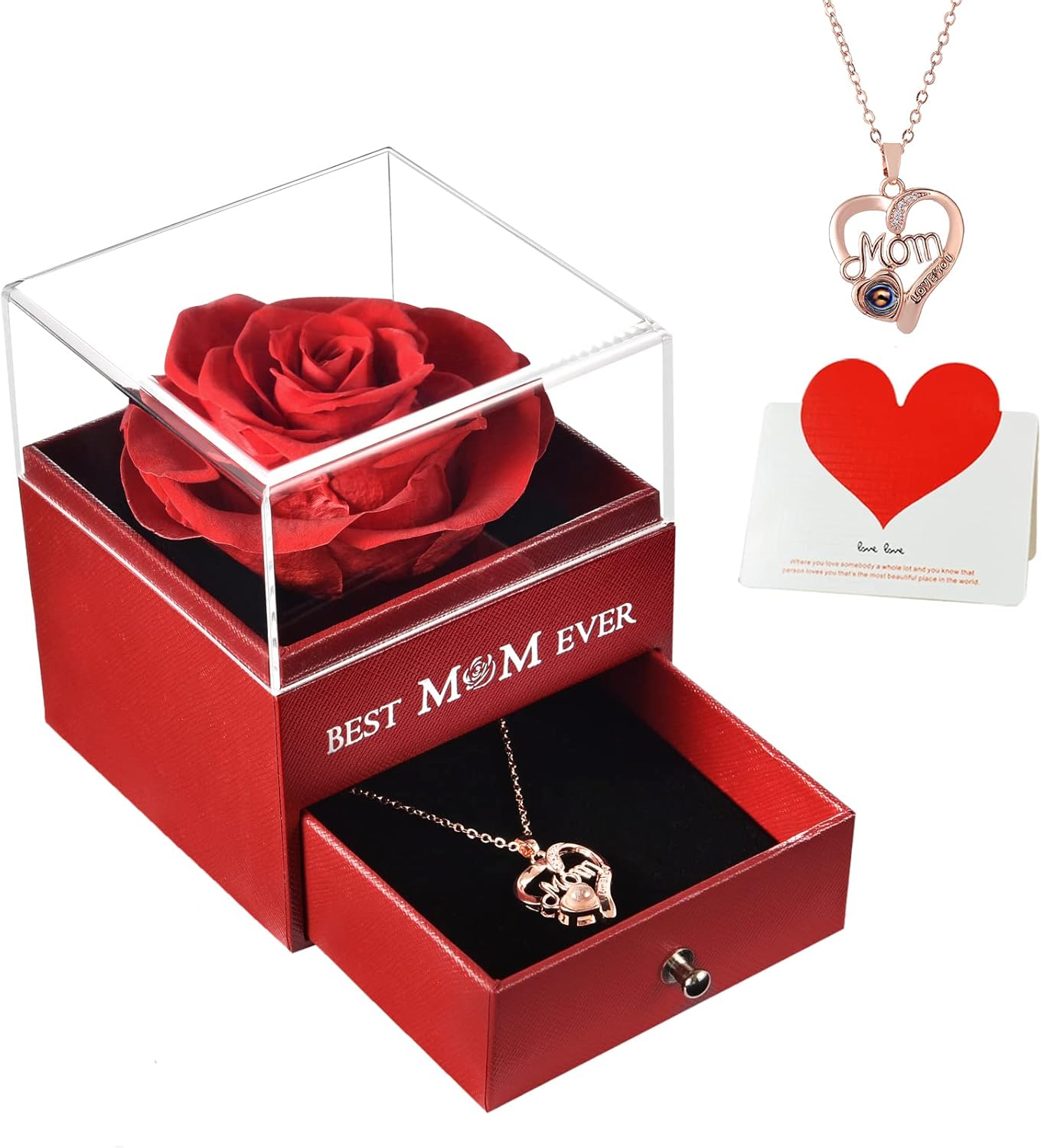 Preserved Rose and Necklace