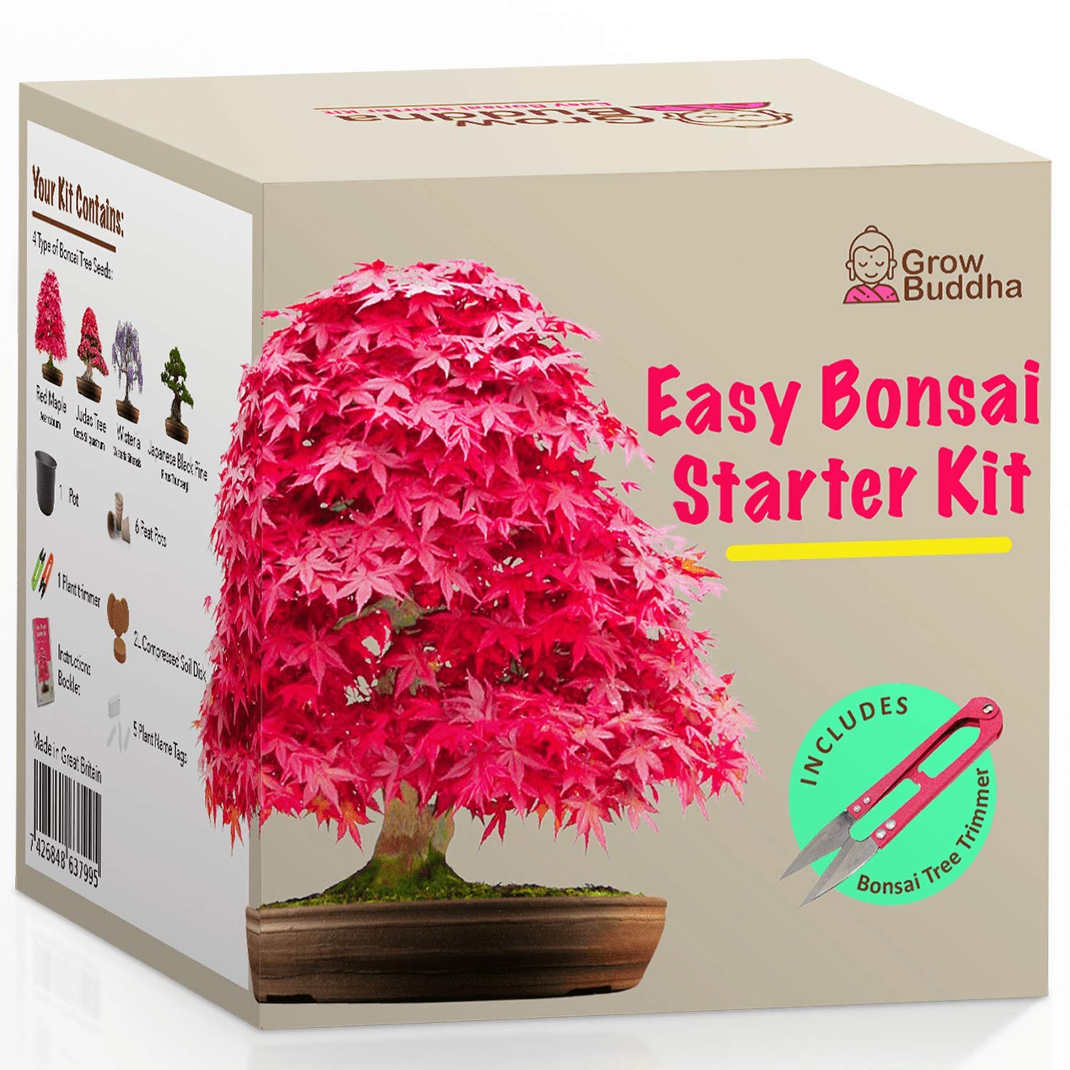 Grow Your own Bonsai kit – Easily Grow 4 Types of Bonsai Trees with Our Complete Beginner Friendly Bonsai Seeds Starter kit – Unique Seed kit Gift idea