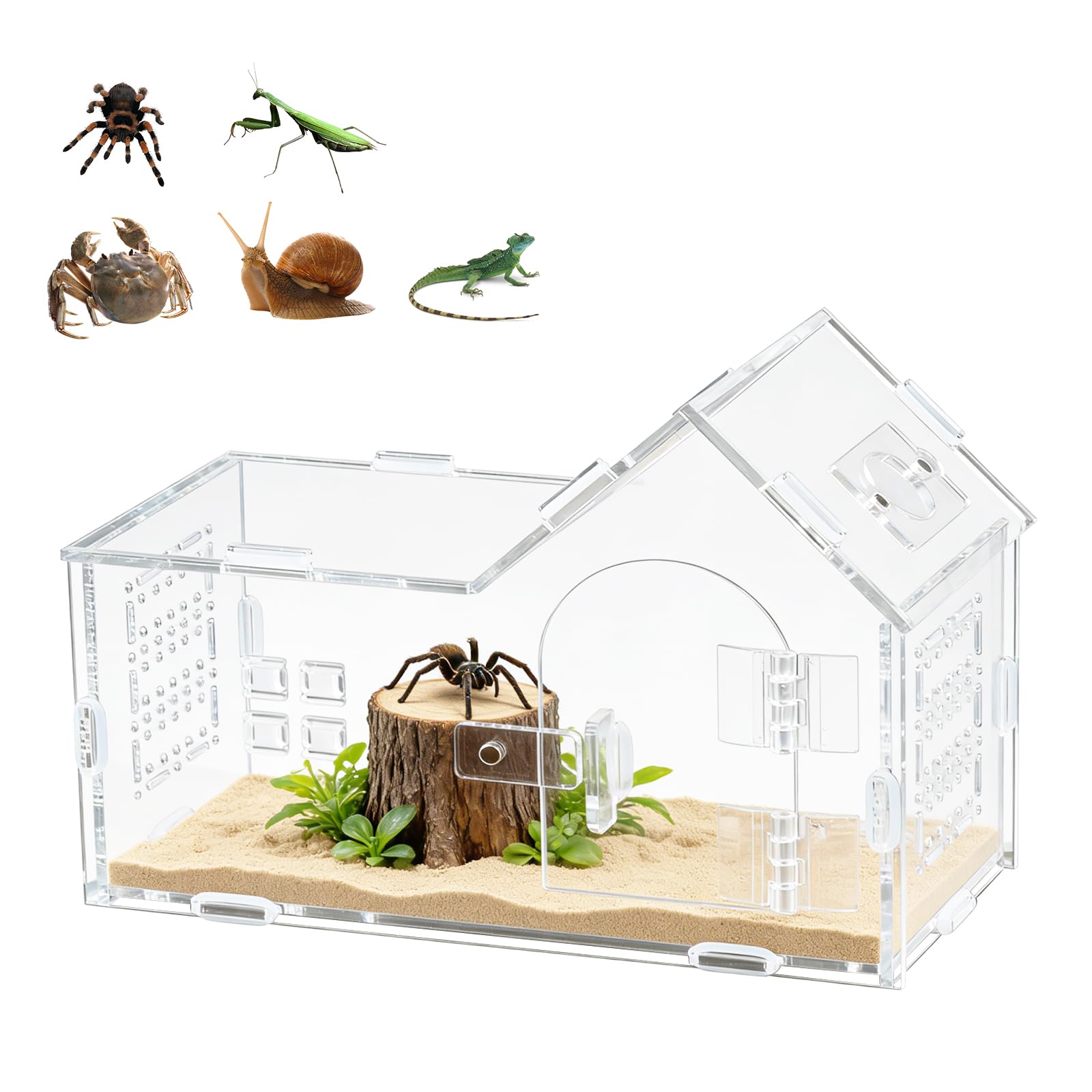 Mini terrarium pour reptiles en acrylique magnétique avec décor de champignon