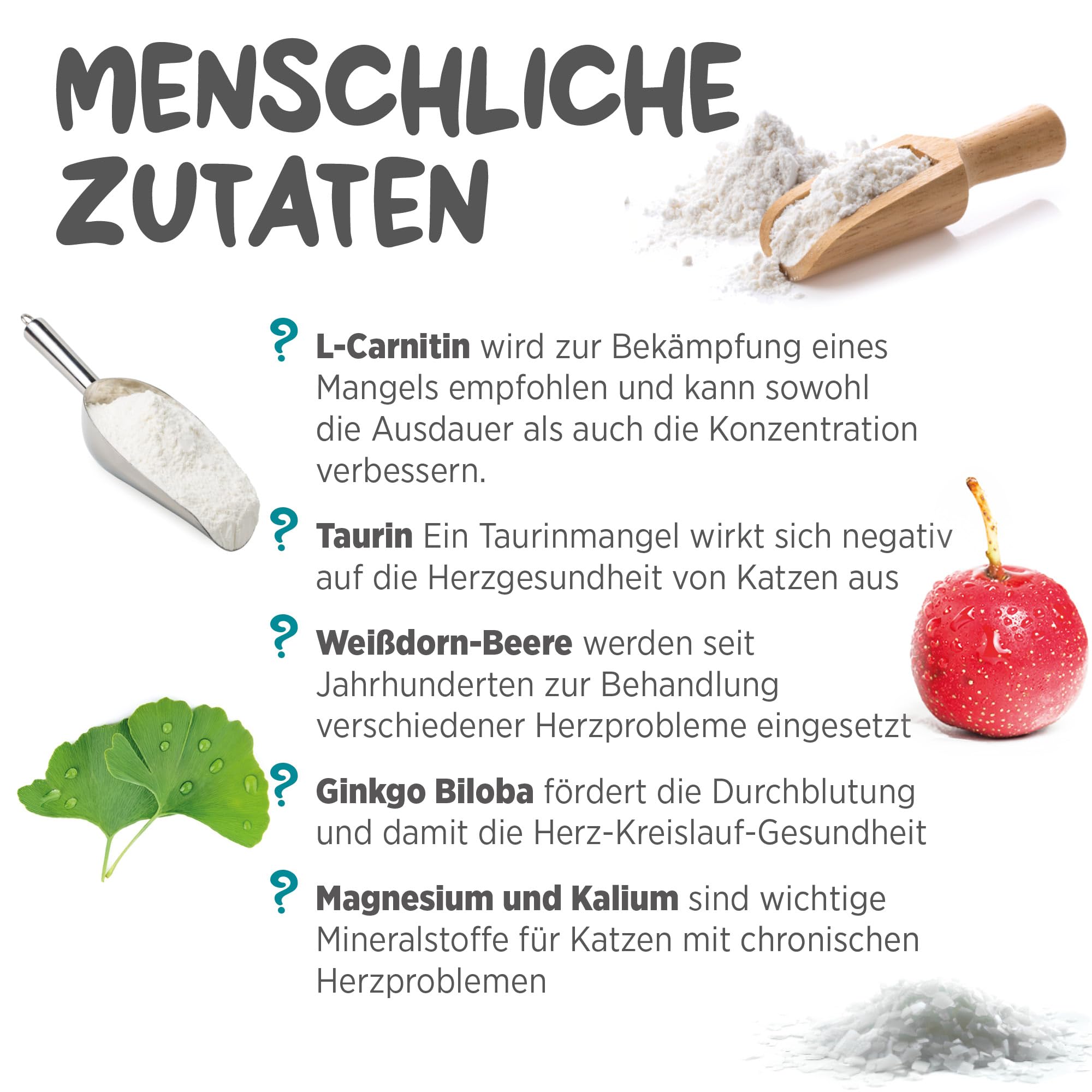 maxxipaws maxxicardio Herz- und Kreislauf Ergänzungsfuttermittel in Pulverform für Katzen, 90 g