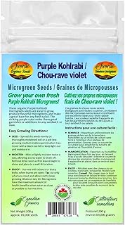 Purple Kohlrabi Microgreen Seeds | Chou-Rave Violet Graines de Micropousses | Certified Organic & Non-GMO | Net Wt. 200 Grams (Approx. 69,000 Seeds) | High Germination Rate | Product of Canada