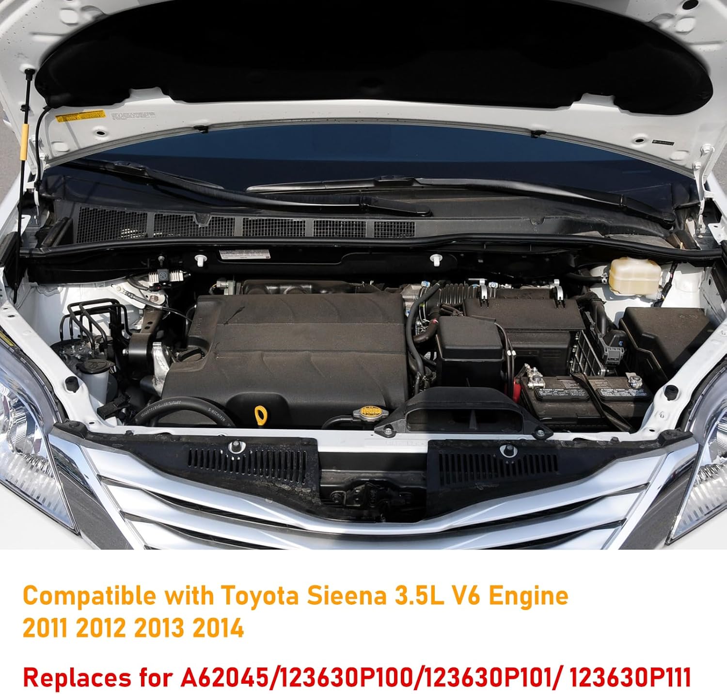 Moonlinks Compatible with Toyota Sienna Torque Strut Mount 2011 2012 2013 2014, Engine Torque Strut Mount for Sienna 3.5L V6 Engine 2011-2014, Replace for A62045/123630P100/123630P101/ 123630P111