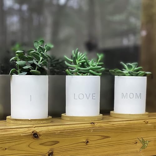 Miniatura 8 de GreenMind Design I Love Mom - Macetas de cerámica de 3.5 pulgadas con bandeja de bambú y agujero de drenaje grabado láser, plantas no incluidas
