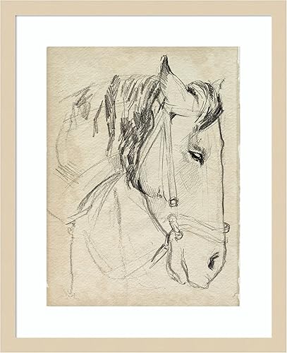 Miniatura 12 de Amanti Art Impresión artística enmarcada para pared, diseño de caballo en brida, de 25 x 21 pulgadas, por Jennifer Paxton Parker, arte de pared de