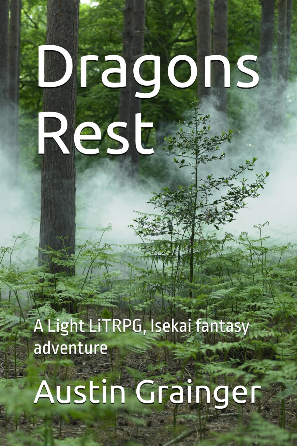 Dragons Rest: A Light LiTRPG, Isekai fantasy adventure (Rebirth of Dragons)