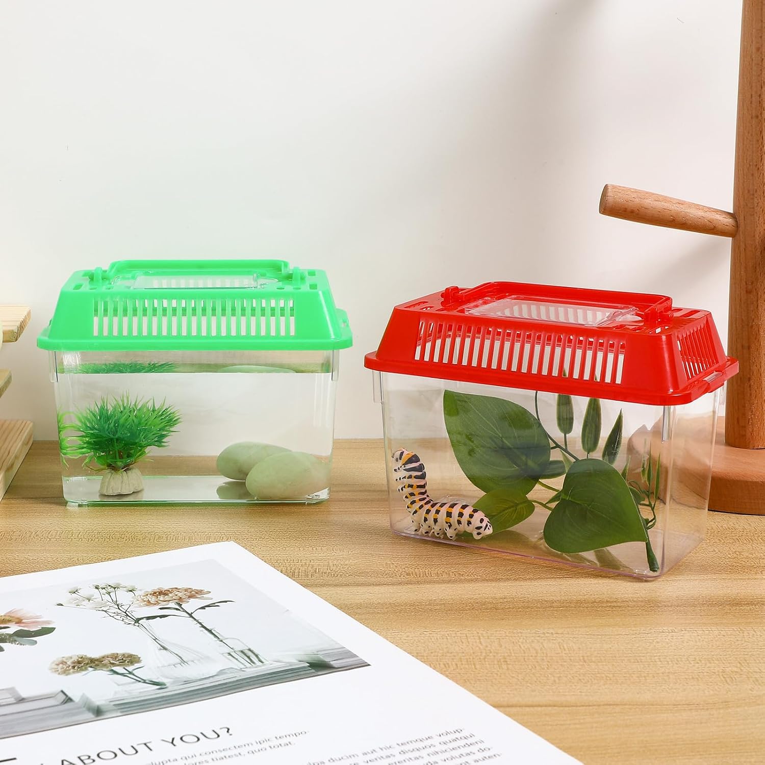 YARNOW 12 Pcs Plastic Fish Tank with Lid, Reptile Carrier Cage, Clear Critter Keeper for Goldfish Turtle Tarantula Snake, Random Color,5. 9 X 3. 7 X 4. 3 Inch