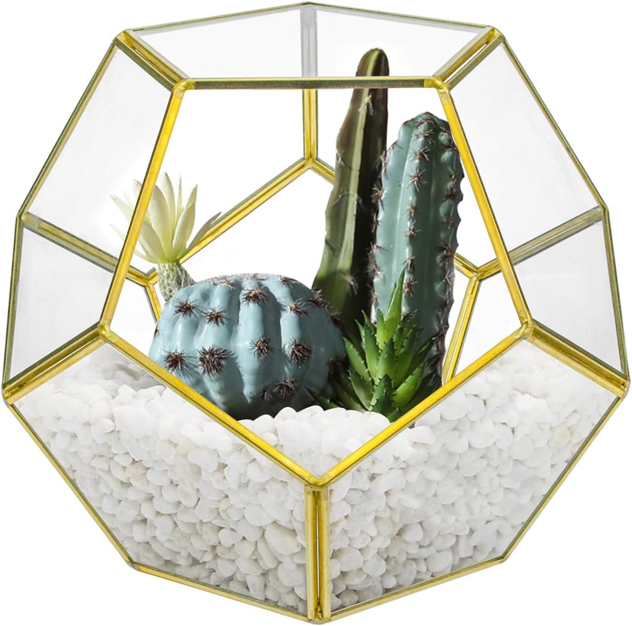 Suwimut Glass Geometric Terrarium, 7.5 x 7.5 x 6.3 Inches Pentagon Regular Planter Container for Succulent, Fern, Moss, Air Plants,…