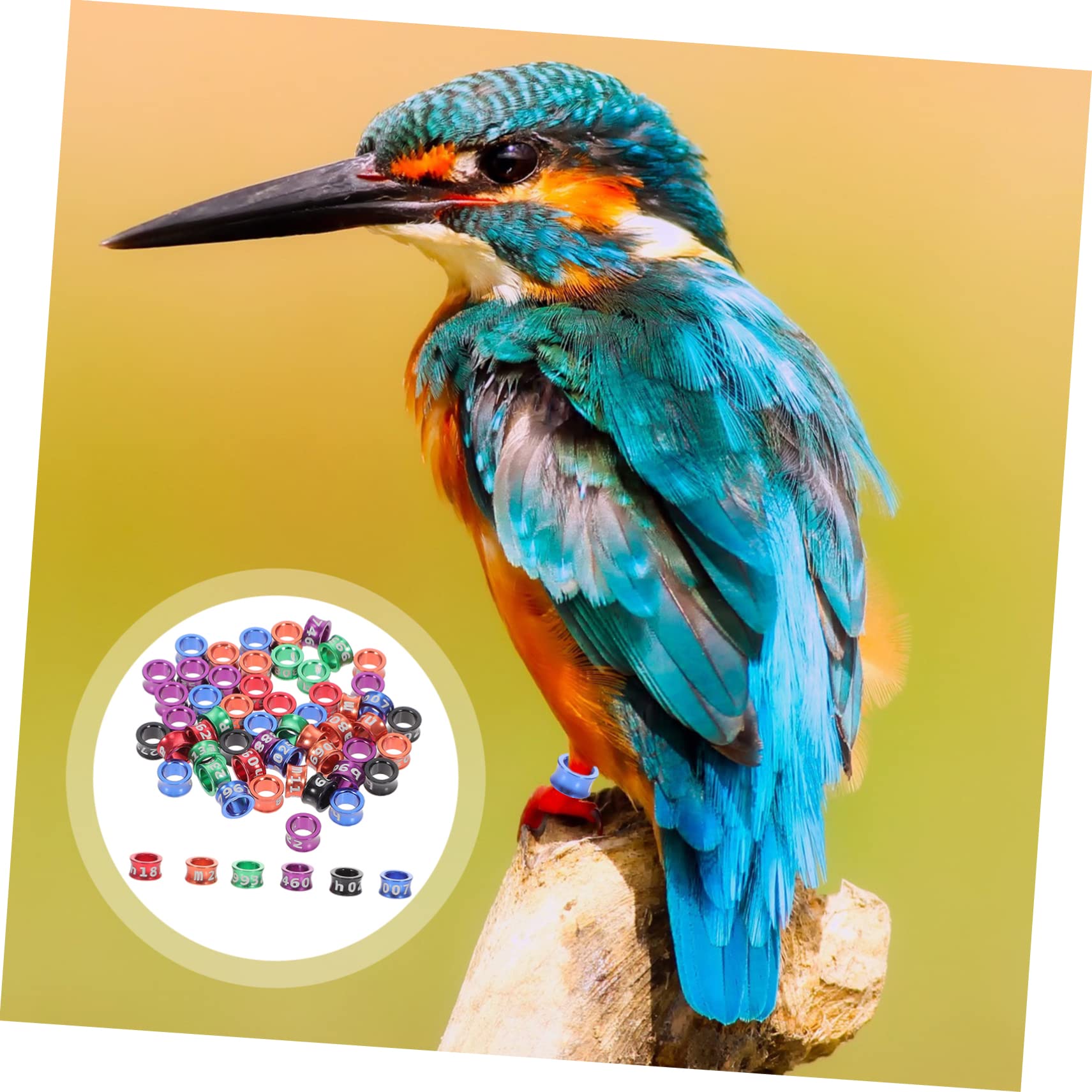 Mipcase 250piezas Anillos De Identificación para Aves Anillos Metálicos para y para Patas De Aves Brillantes y Diseño De Cierre