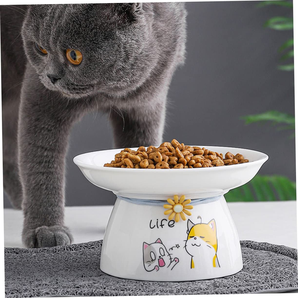 2stücke Erhöhte Katzennäpfe Aus Keramik Für Hauskatzen Katzenfutter Und Wassernäpfe Mit Schräger Oberfläche Einfach Zu Reinigen Glatte Oberfläche Bequemes Fressen Und