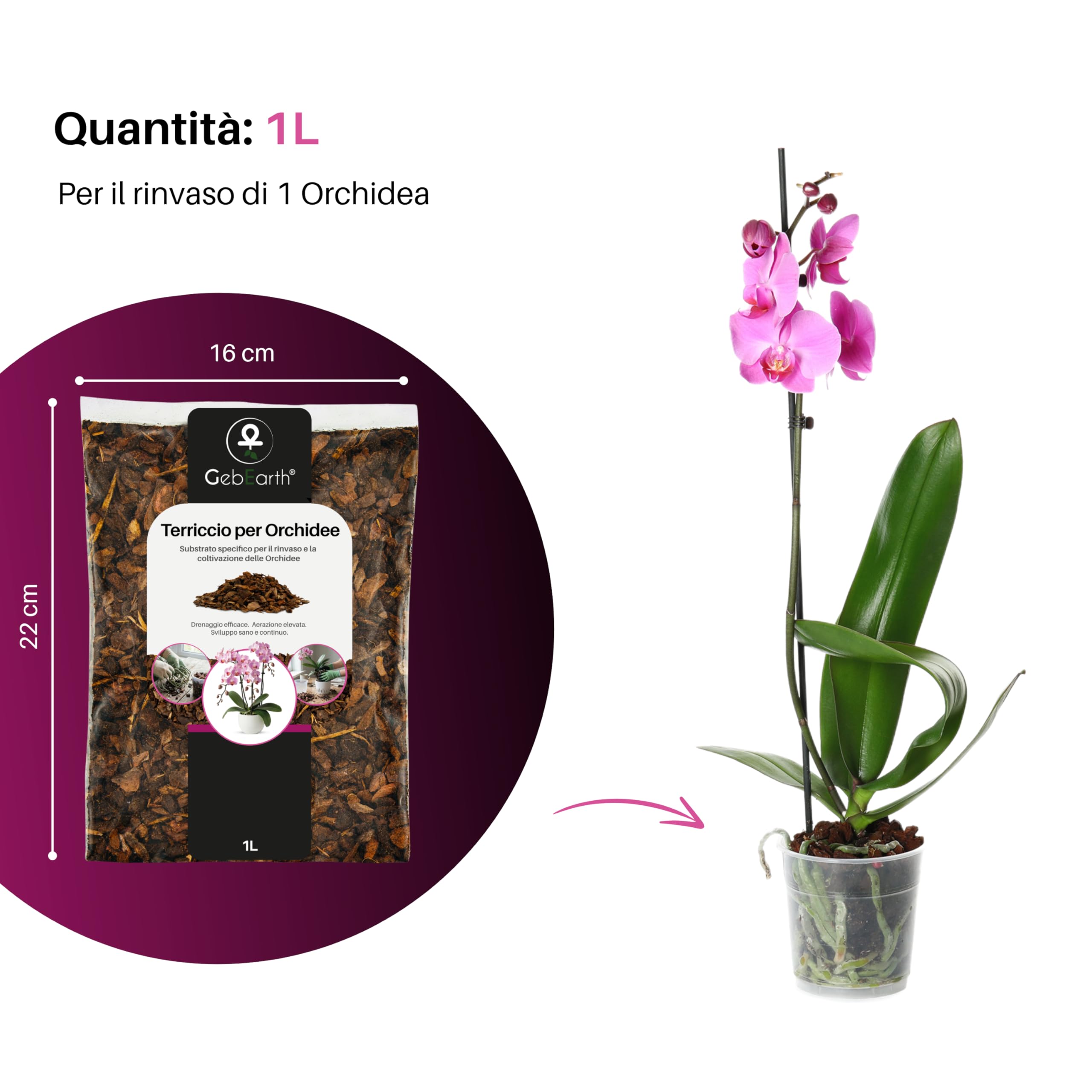 GebEarth® Terriccio per Orchidee Substrato 1L Professionale