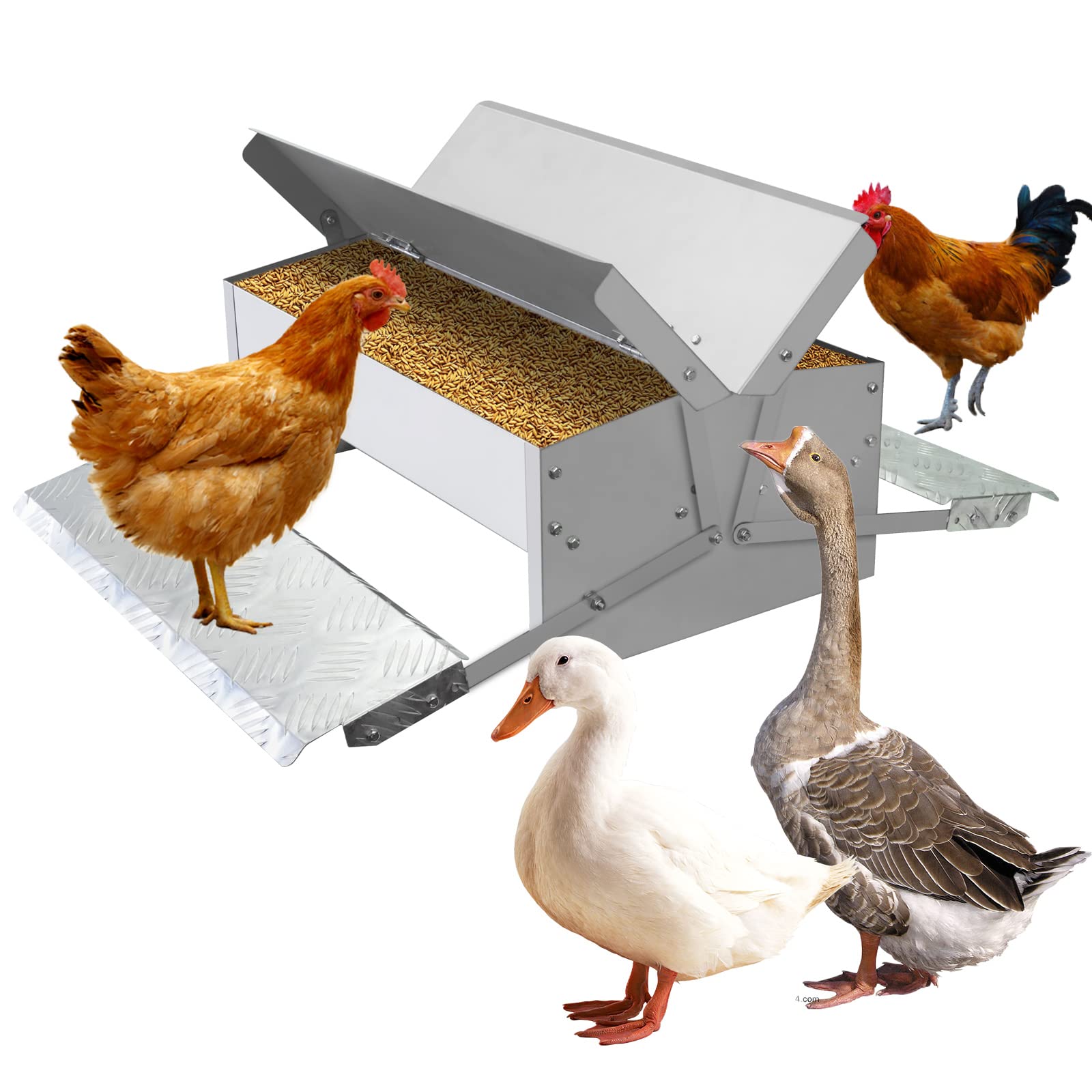 MUALROUS Comedero automático para Pollos sin Desperdicio de Metal Pedal Alimentación de Pollo a Prueba de Ratas 25LB Capacidad Doble Lado Alimentador de Aves de Corral Anti Rainproof para 6-12 Pollos