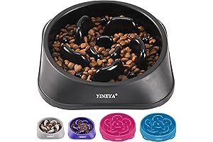 Pet Supplies Slow Feeder Dog Puzzle Bowl for Small Dogs