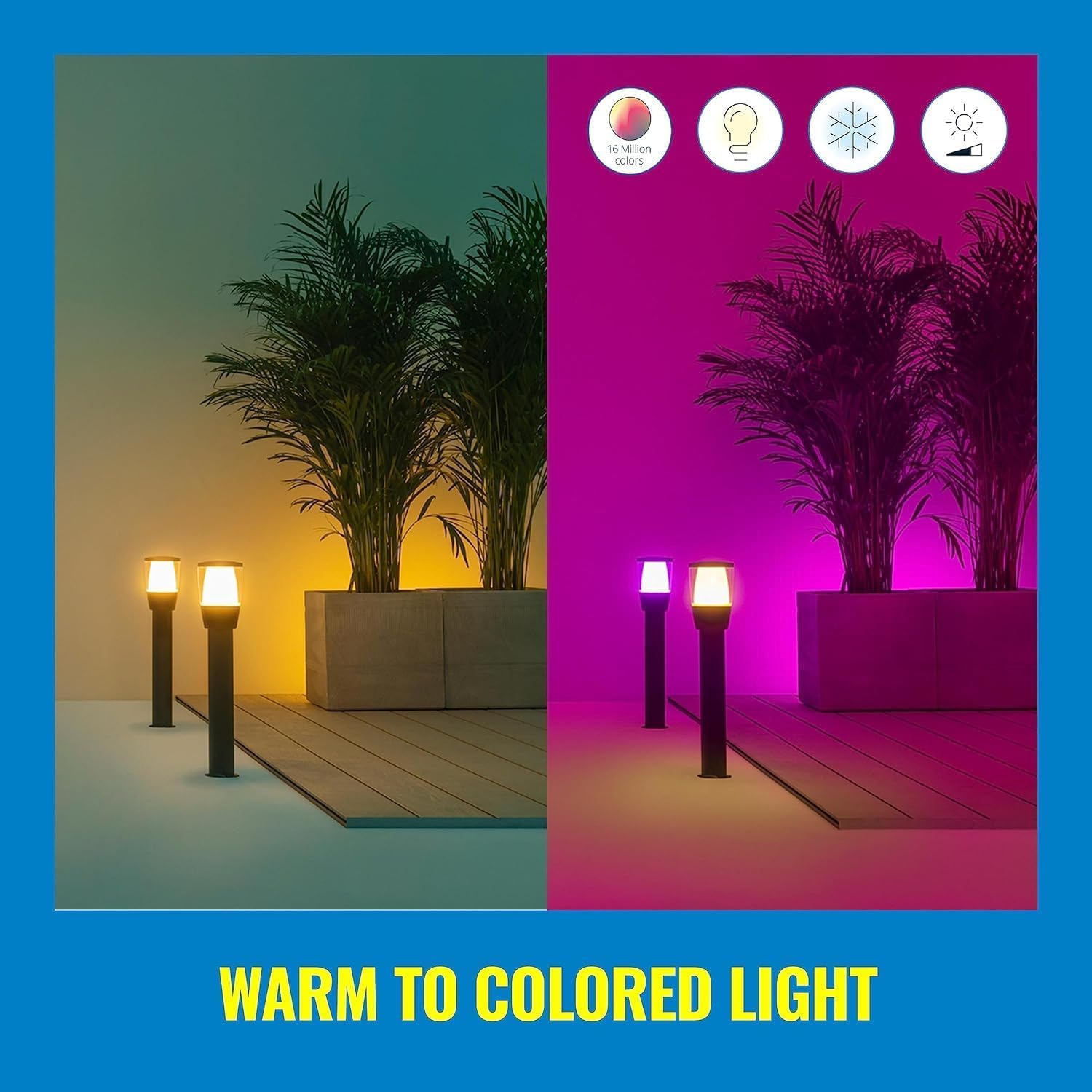 Warm to Colored Light options for WiZ lights