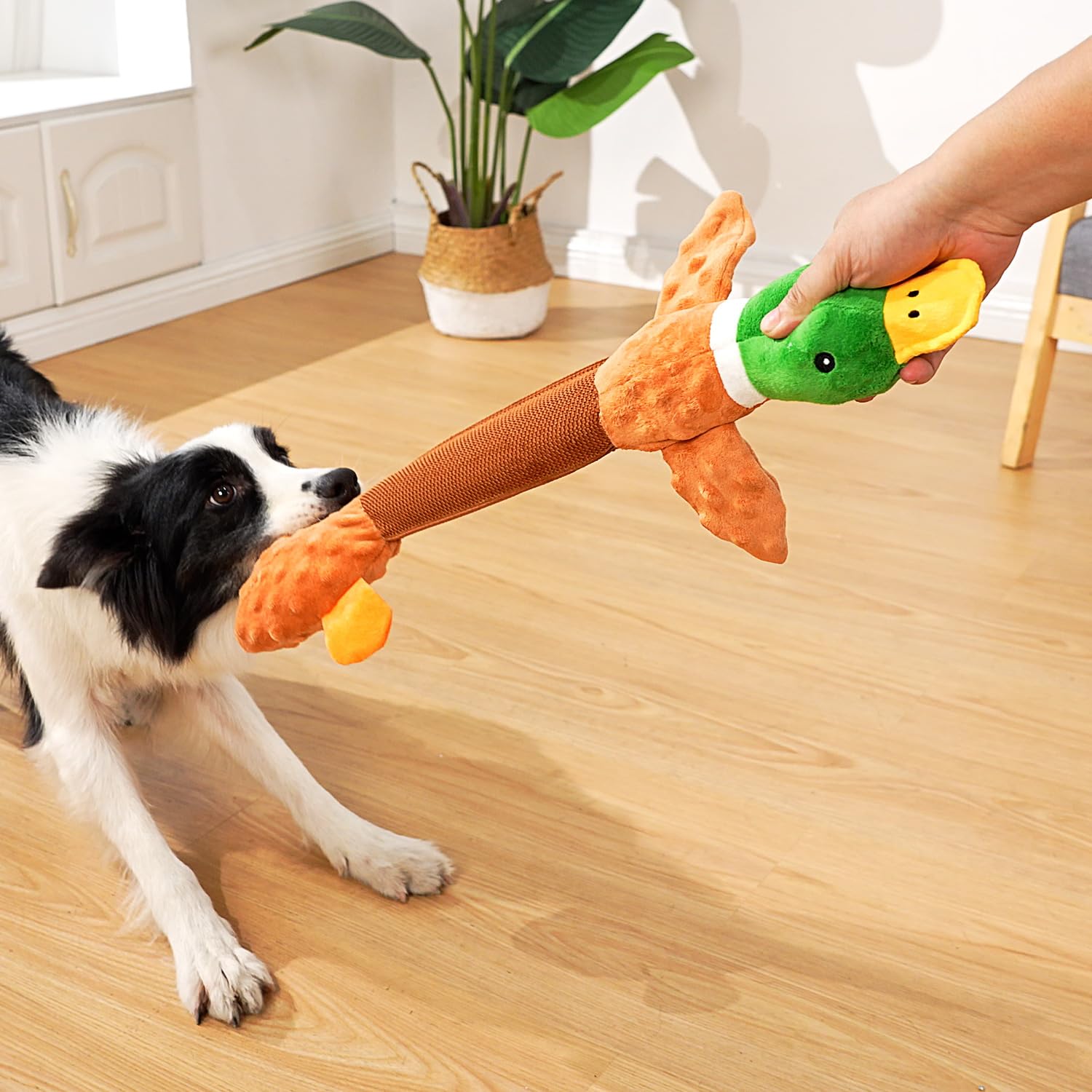 Sedioso Giocattolo per cani extra large, resistente, per cani di taglia grande, 50,8 cm, giocattolo interattivo per cani di taglia piccola, media e grande (anatra)