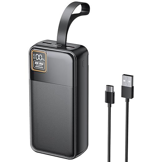 High-Capacity Portable Power Bank