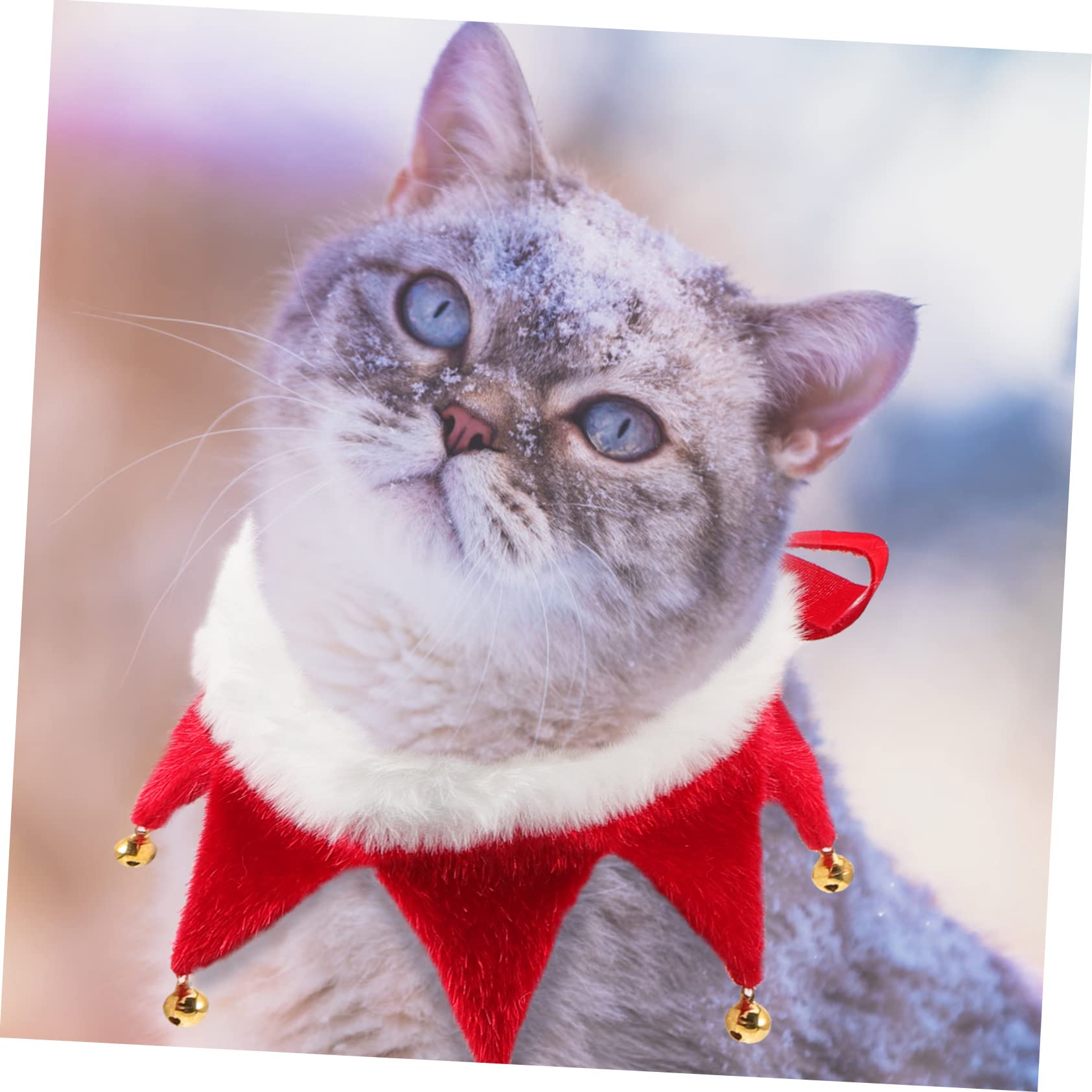 Sosoport 4stücke Pet Christmas Collar Mit Glöckchen Für Hunde Und Katzen Festliche Weihnachtsdekoration Für Haustiere Verstellbar Und Langlebig Für Feiertage Und Fotosessions