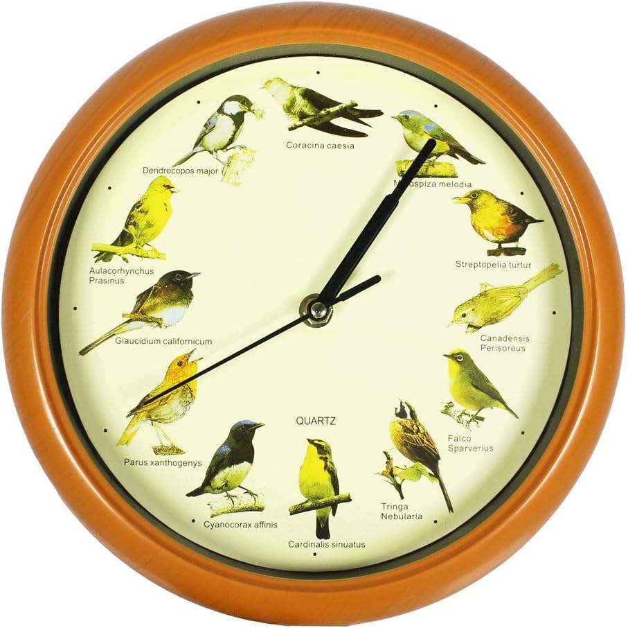 Genius Ideas Bird Song Clock