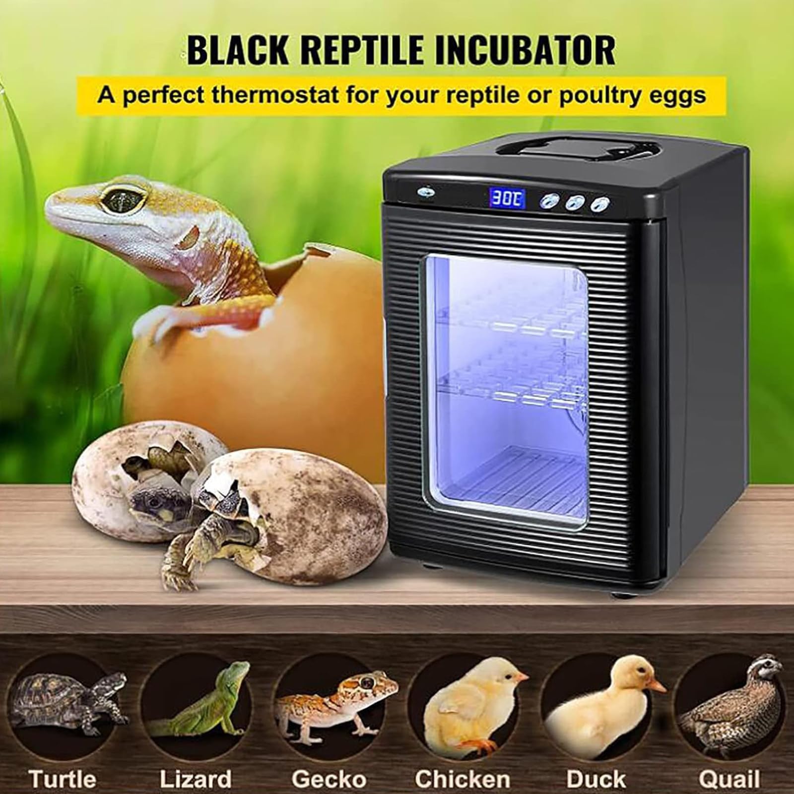Incubadora Huevos Reptiles, Incubadoras Pequeñas Multifuncionales para Cría, Iluminación Observación LED con Control De Temperatura Dual De Calefacción Y Refrigeración