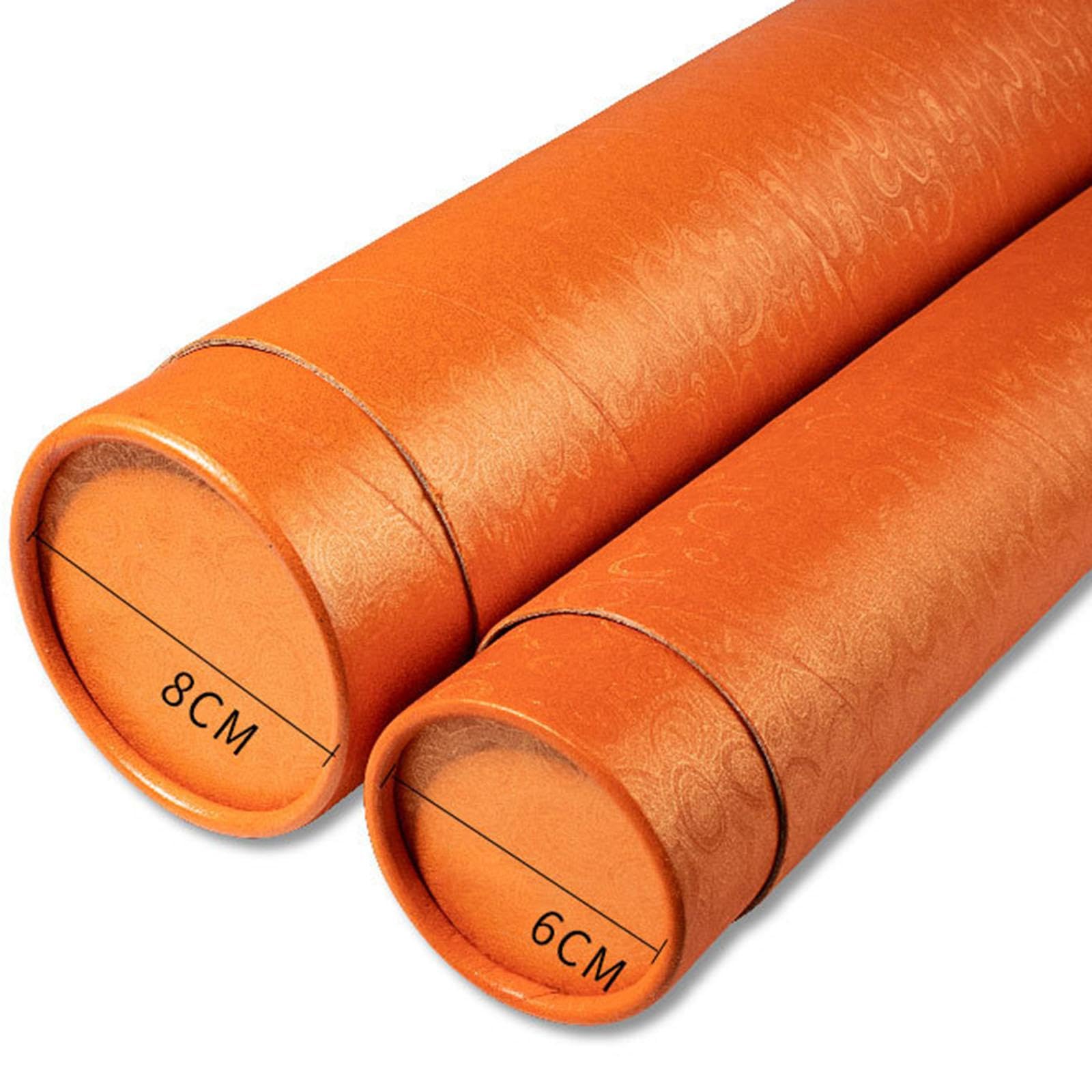 predolo Tube de transport extensible pour affiches, robuste et polyvalent, ajustable, idéal pour les, l'envoi de documents, les dessins techniques, 6x72cm