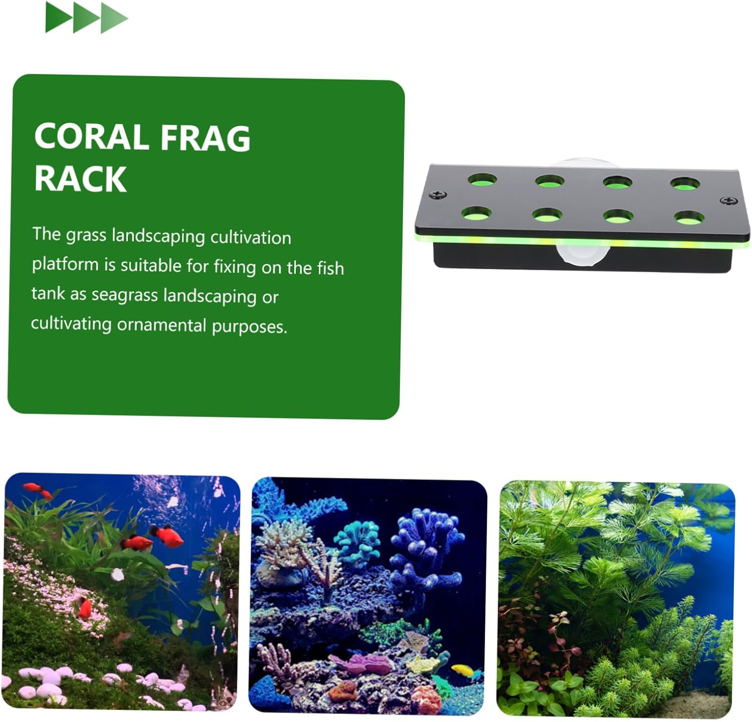 BESPORTBLE 2pcs Live Coral Display Stand Double Layer Aquarium Rack for Coral Cultivation Fluorescent Green Support for and Aquatic Decorations