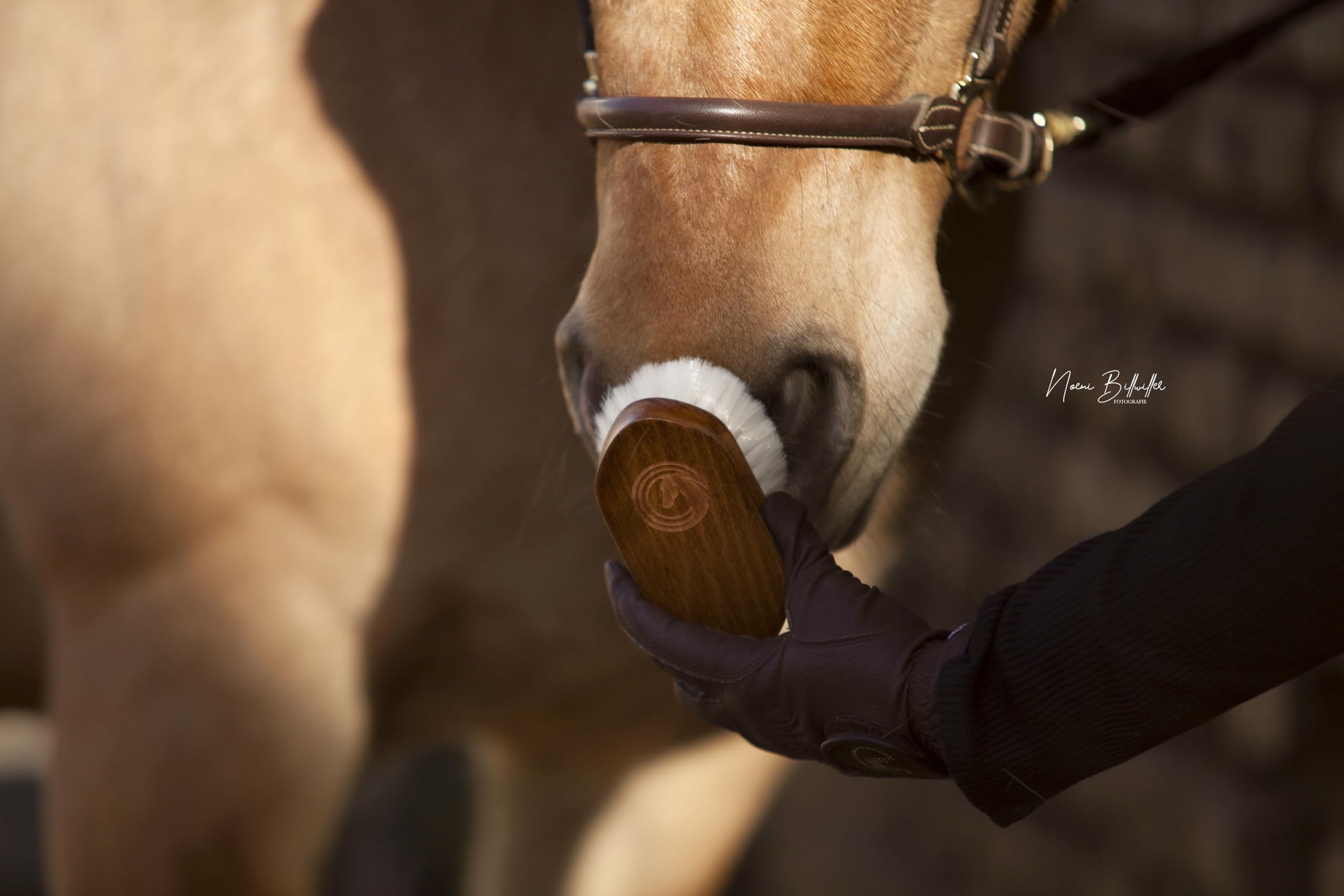 brosse tête en poils de chèvre – brosse cheval douce en bois avec sangle en cuir végan | Soin du visage, élimination de la poussière, brillance naturelle, idéale pour chevaux sensibles