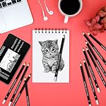 PACETAP Ensemble de crayons dessin professionnel, 12 Pièces Dessin d'art Graphite Crayons B,2B,4B,5B,6B,8B,C'est-à-dire2H,HB,SOFE,Moyenne,Hard,Idéal pour le croquis, l'ombrage