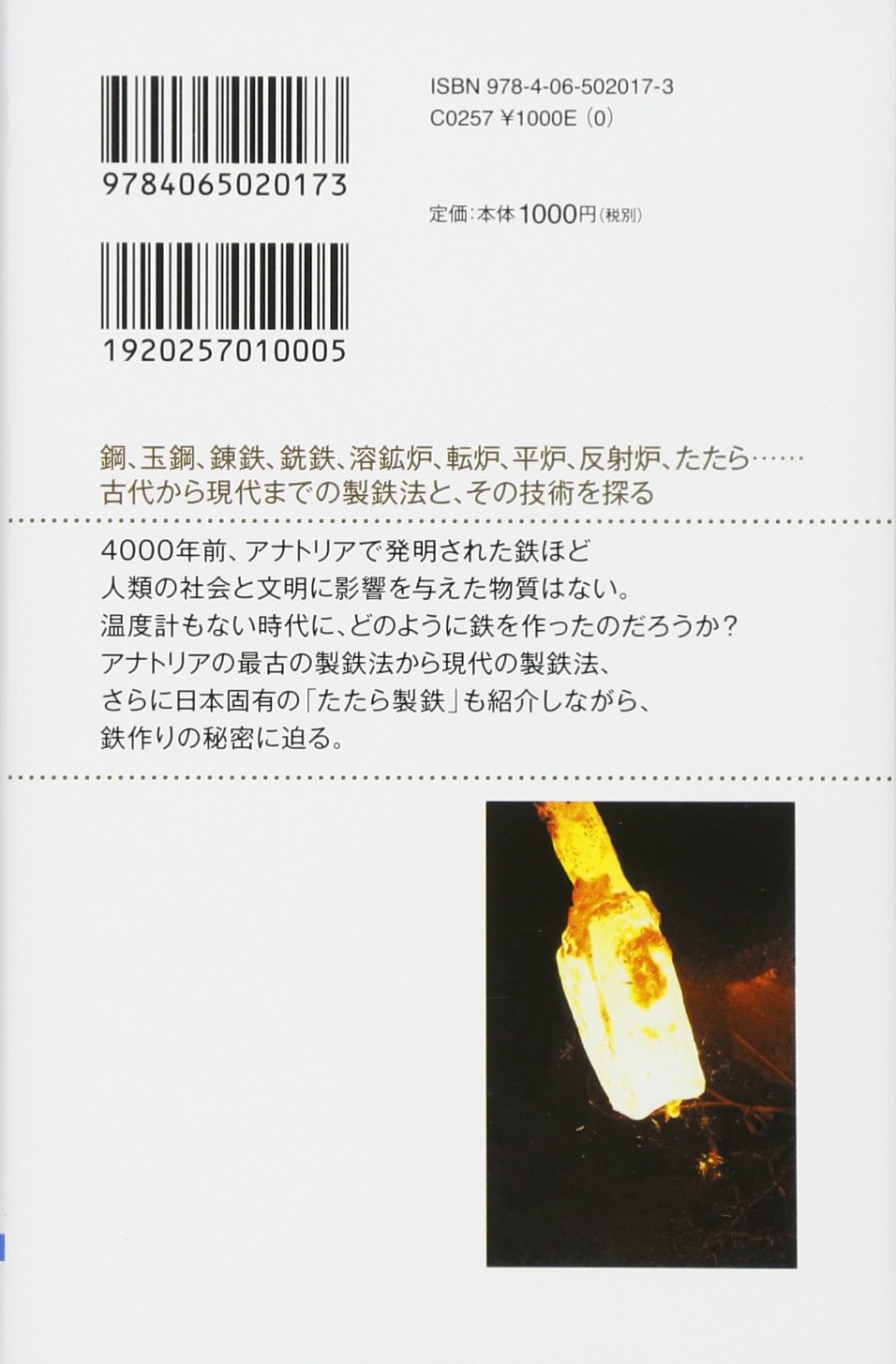 人はどのように鉄を作ってきたか 4000年の歴史と製鉄の原理 ブルーバックス 永田 和宏 本 通販 Amazon