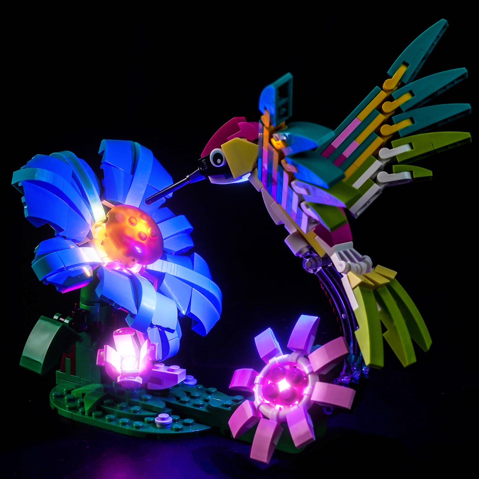 LocoLee Led Light Set Compatible with Lego 31384 Wild Animals: Colorful Hummingbird Led Decoration Lighting Kit Compatible with Lego Creator 3-in-1 31384 Building Blocks Model,Only Lights Set,No Model