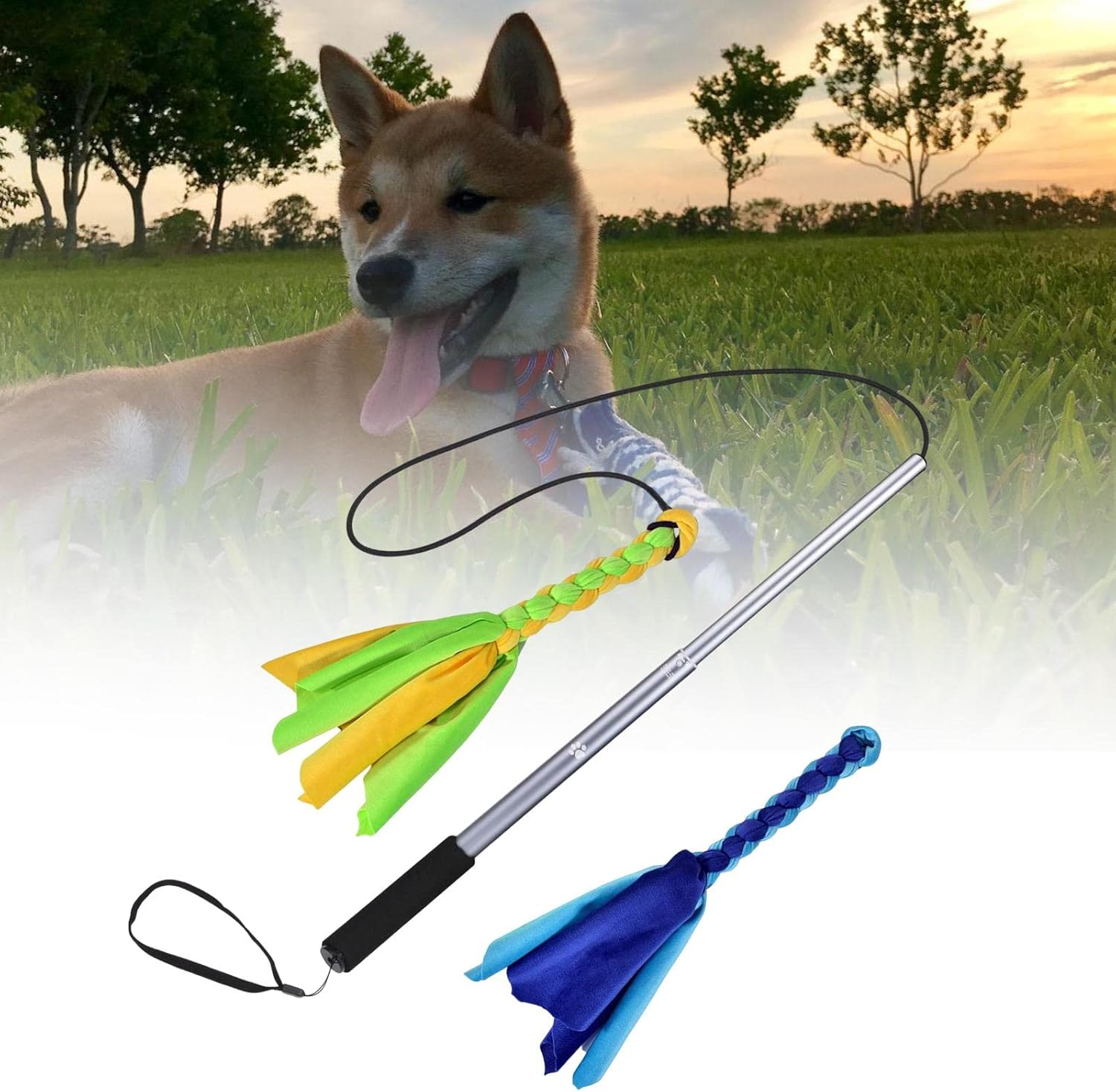 Kesoto 犬の拡張可能なワンドペットのポールは 運動トレーニング用に格納式 グレー 中華のおせち贈り物 Kesoto 犬の拡張可能なワンドペットのポールは 運動トレーニング用に格納式 グレー 中華のおせち贈り物