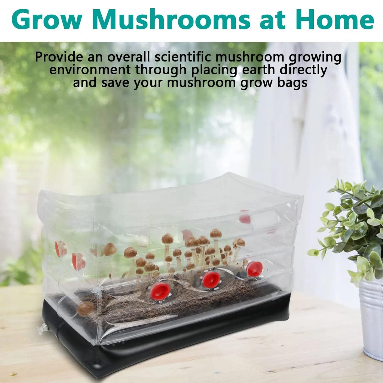 KIMISS Kit de culture de champignons, Monotub Home gonflable 46 x 23,9 x 27,9 cm et kit de culture de champignons Monotub Hongos Your Own Mushrooms Kits to Box Monotube Cultiver Portable Nursery