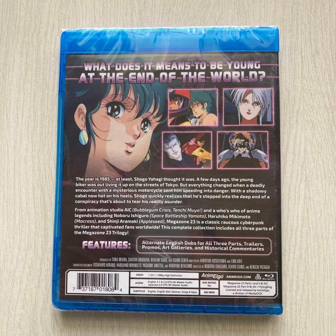 DIANE DE CLERCQ ダイアンデクラークのマフラー 美品☆DIANE DE CLERCQ