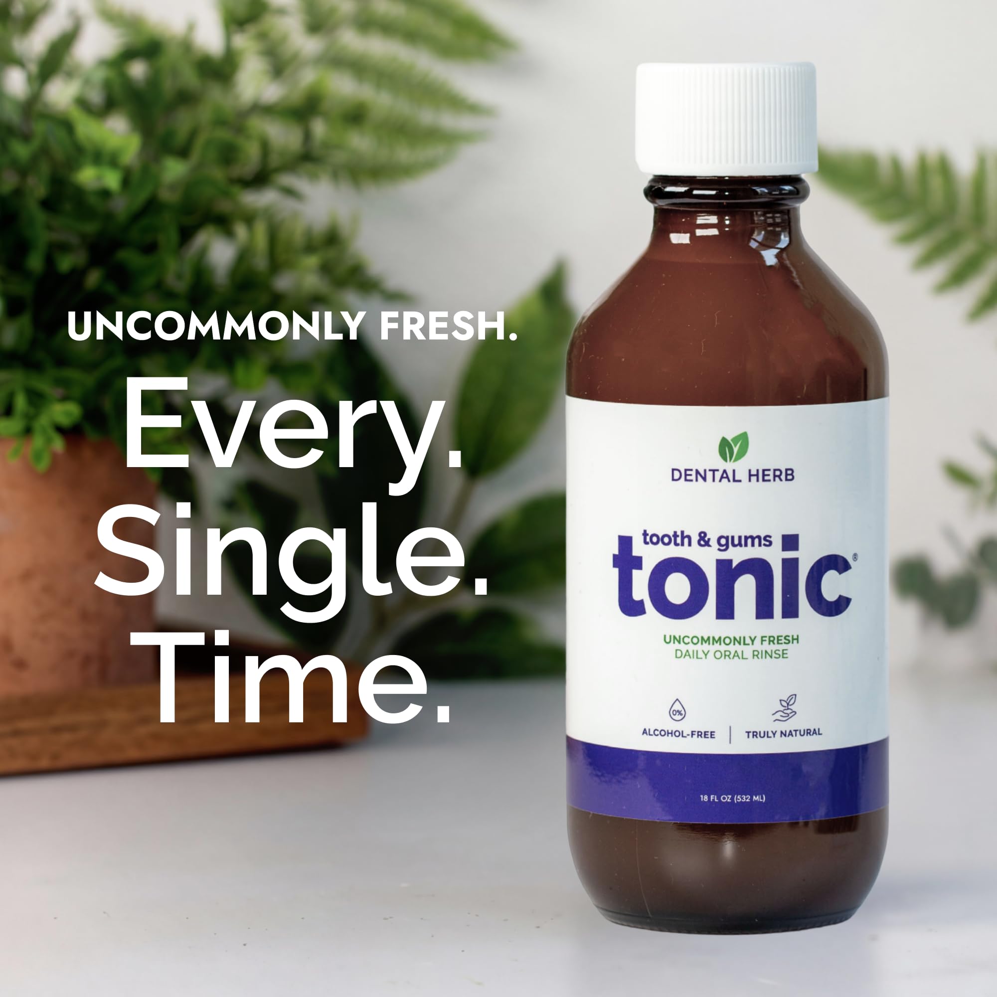 Dental Herb Company Tooth and Gums Tonic - Value Pack 2 Bottles by Dental Herb Company