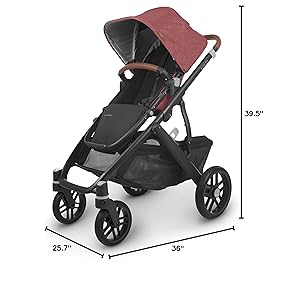 Most Expensive Stroller 3