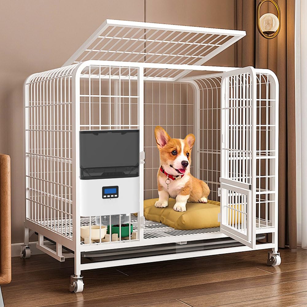 Amazon | 自動給餌器 猫 犬 タイマー機能 ペット給餌機 定時定量