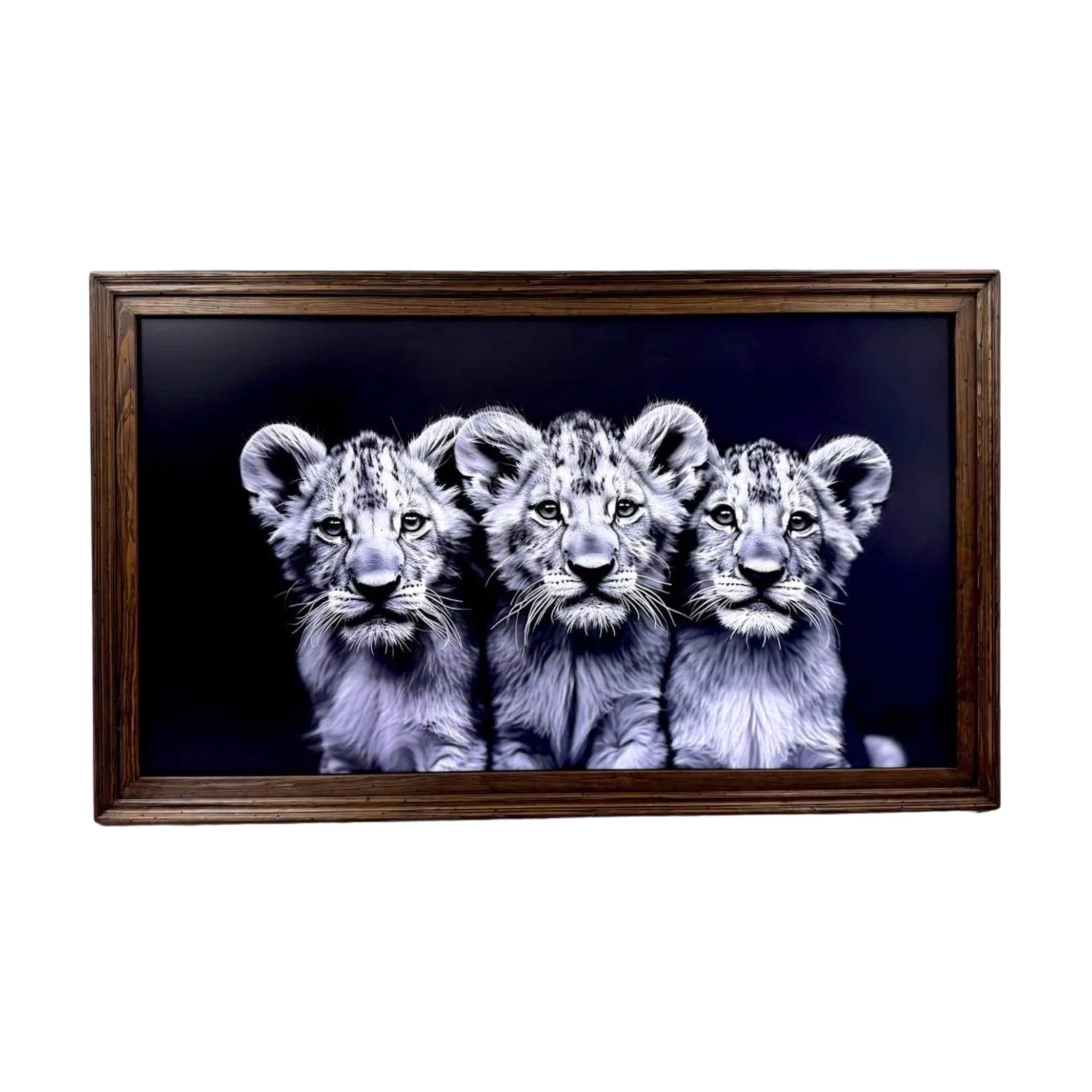 Amazon.com: 55 Inch TV frame for TCL NXTVISION TV. Rustic Dark