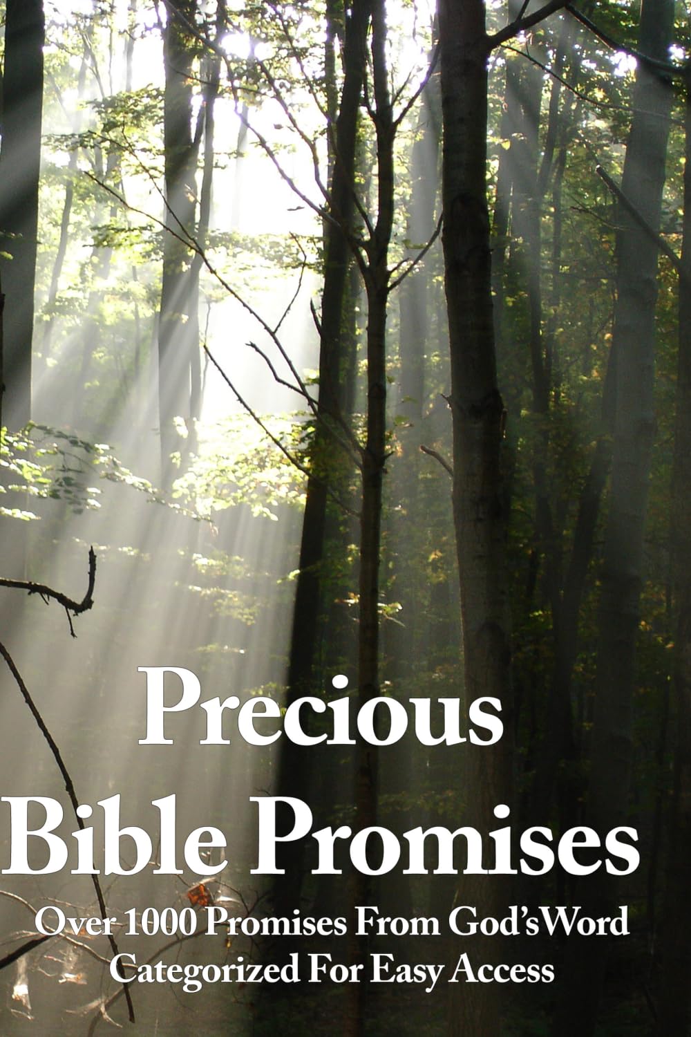 Precious Bible Promises