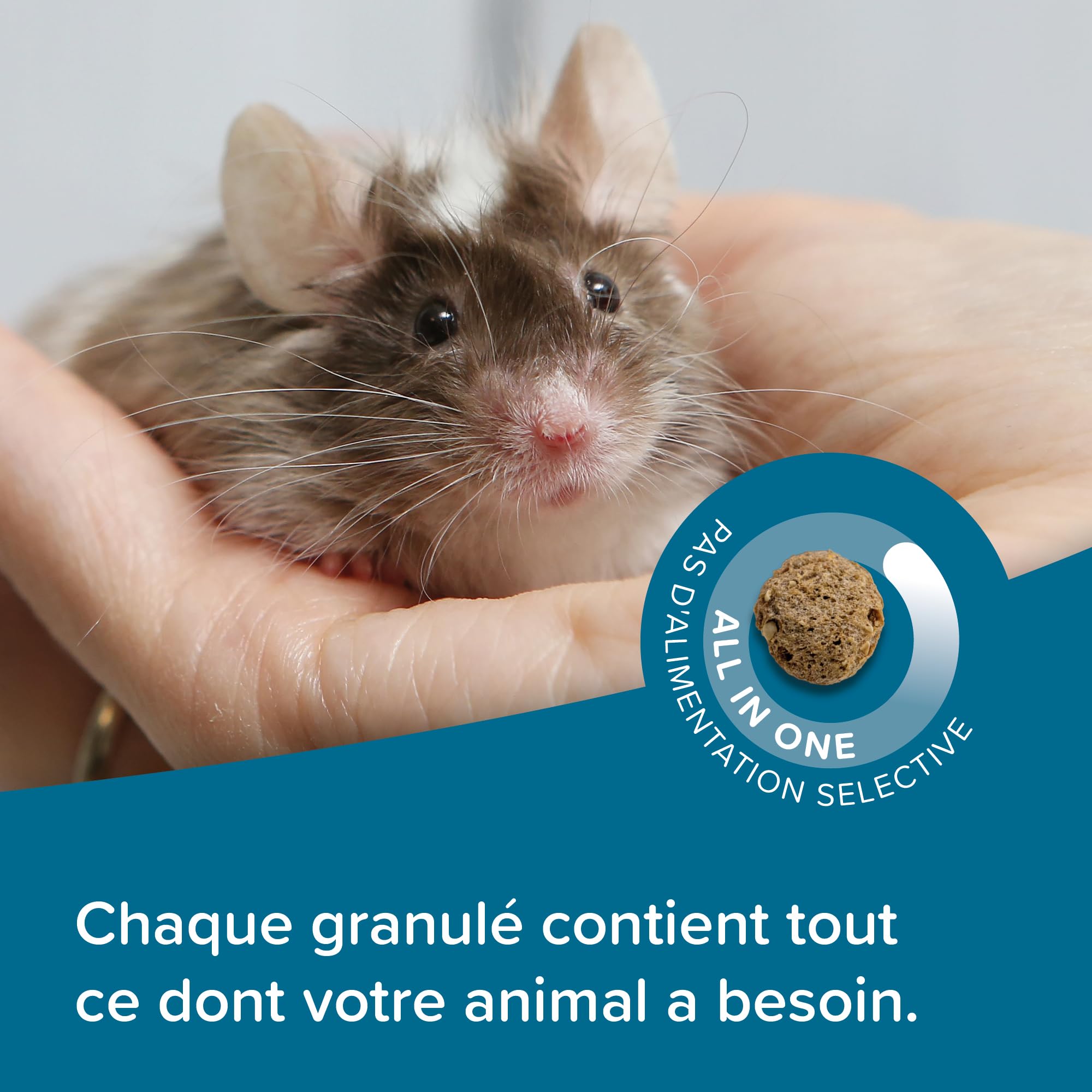 BEAPHAR – Care+® – Alimentation Super Prenium extrudée pour Gerbille et Souris – Aux proteines animales – Haute digestibilité – Participe à l’Usure Naturelle de Dents – Granulés Tout-en-Un – 500g