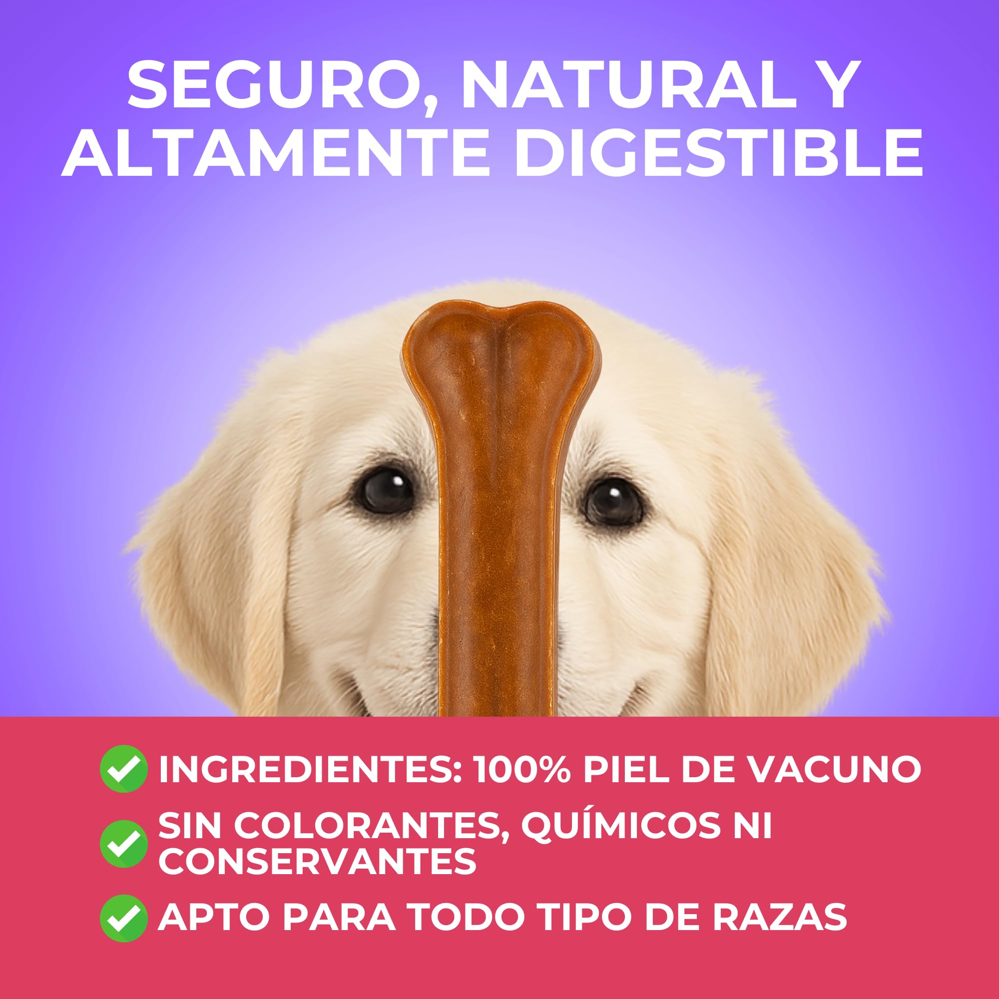 MOLY Pack 50 Huesos Prensados para Perros 8 cm | Snack Natural para Cachorros y Razas Pequeñas | Refuerza Salud Dental y Encías | Bajo en Grasa | Ocupación Prolongada y Segura