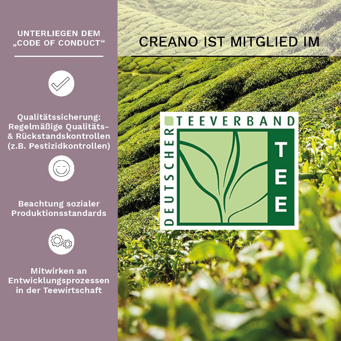Creano Teeblumen - Mix Geschenkset Erblühtee mit Glaskanne in edler Holz-Dekobox - 6 verschiedene Teerosen in 3 Sorten (Schwarzer Tee)
