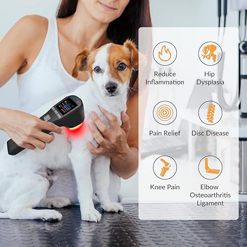 Miniatura 6 de Dispositivo de terapia láser frío para músculos y articulaciones, 4x808nm+16x650nm, alivio del dolor, acelerar la curación, terapia de luz en el